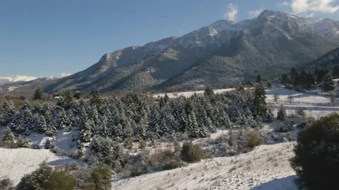 Winter snow mountains with trees Stock Footage 167299081
