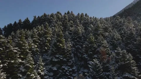 Winter snow mountains with trees Stock Footage 167299229