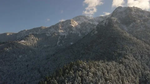 Winter snow mountains with trees Stock Footage 167299491