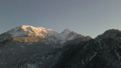 Winter snow mountains with trees Stock Footage 167299649