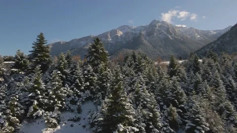 Winter snow mountains with trees Stock Footage 167299651