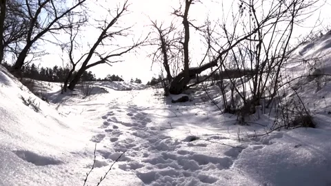 In winter in the snow near the river 스톡 동영상 154427160