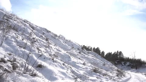 In winter in the snow near the river Vídeo Stock 154427171