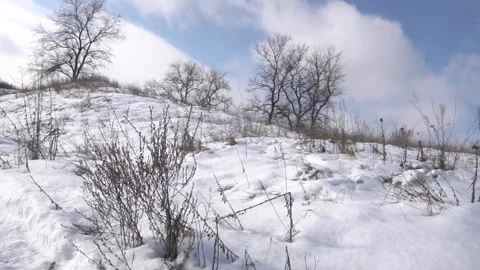 In winter in the snow near the river 動画素材 154427182