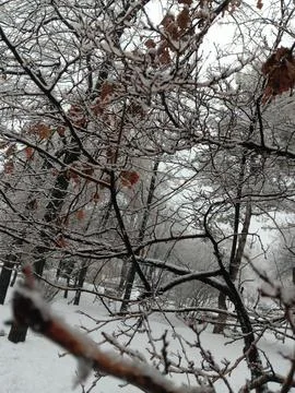 Winter snow outside Central State Museum of the Republic of Kazakhstan Stock Photos