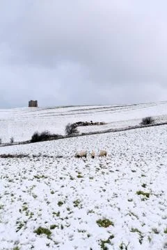 Winter snow Stock Photos