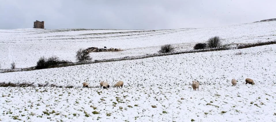 Winter snow Stock Photos