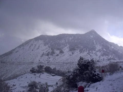 Winter Snow Stock Photos