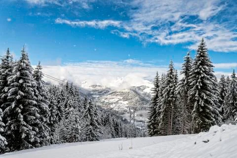 Winter snow Stock Photos