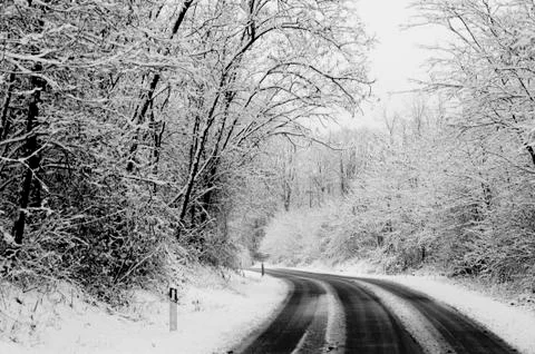 Winter snow 스톡 사진