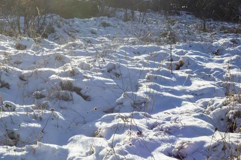 Winter snow Stock Photos