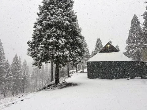 Winter Snow Stock Photos