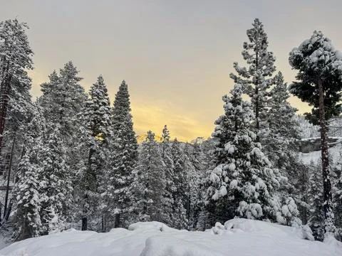 Winter Snow Stock Photos