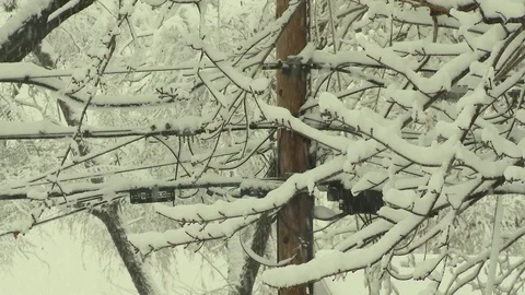 Winter snow on power lines and chimney Stock Footage 101140473