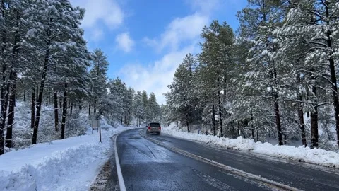 Winter Snow in Prescott 스톡 동영상 269033375