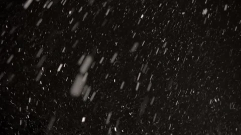 Winter Snow Real Falling Black Background 4K Natural real snow falling with Stock Footage 330092628