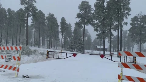 Winter Snow Road Closed Payson Arizona Video stock 167696944