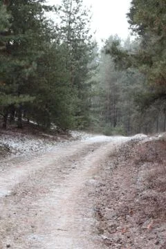 Winter snow road Foto stock