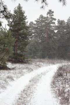 Winter snow road Stock Photos