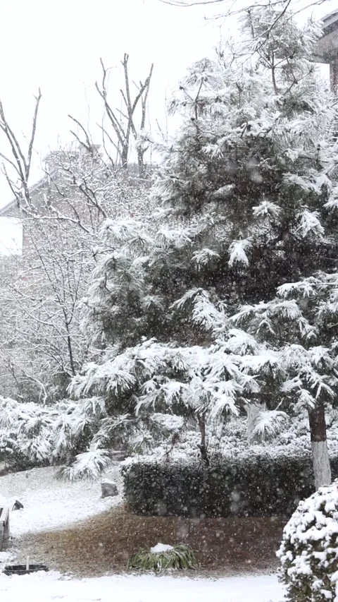 Winter snow scene Stock-Footage 343595211
