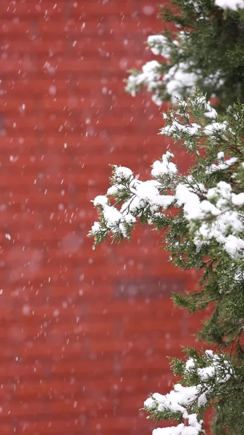 Winter snow scene 库存影片 343595212