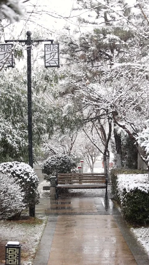 Winter snow scene 库存影片 343595244