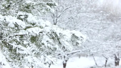 Winter snow scene Stock-Footage 343596699