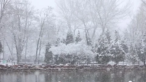Winter snow scene Stock Footage 343598986