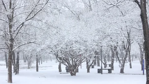 Winter snow scene Видео 343601781