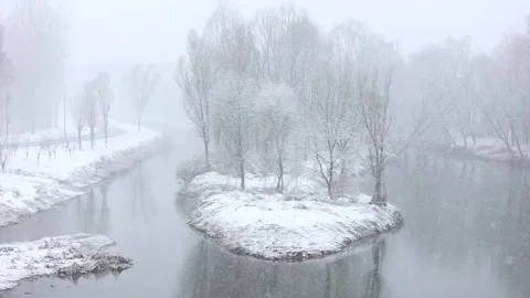 Winter snow scene Video stock 343601931