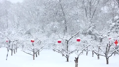 Winter snow scene Видео 343601986