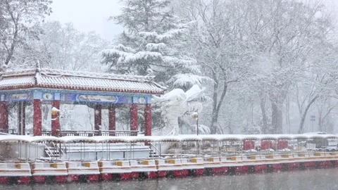 Winter snow scene 库存影片 343606086
