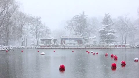 Winter snow scene Stock Footage 343606107