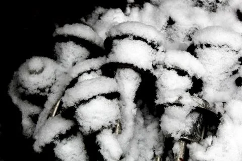 Winter snow scene Stock Photos