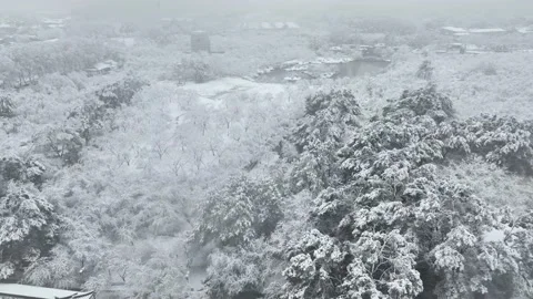 Winter snow scene in Wuhan East Lake Scenic Area,  Hubei,  China Stock-Footage 228804875