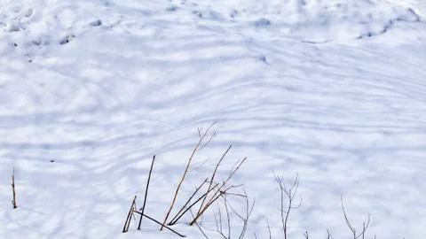 Winter Snow Shadows Stock Photos