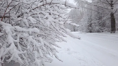 Winter snow shower Stock Footage 122758252