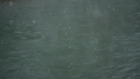 Winter snow slow motion frame Stock Footage 146061453