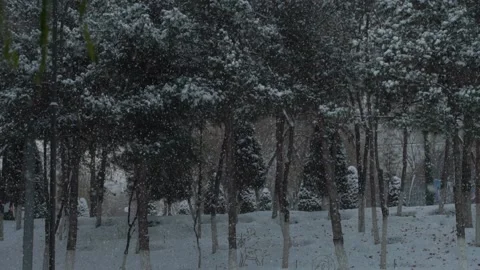 Winter snow slow motion frame Video stock 146061683