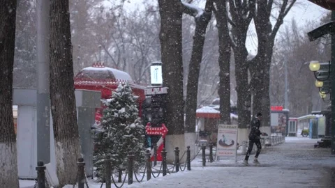 Winter snow slow motion frame Video stock 146061733