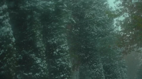 Winter snow slow motion frame Video stock 146061755