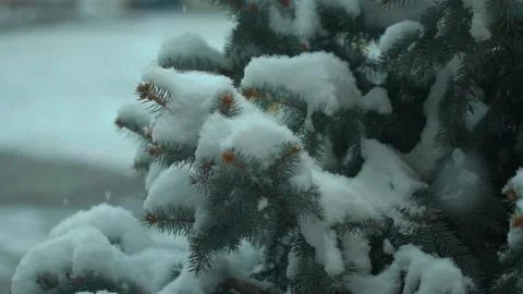 Winter snow slow motion frame Video stock 146062053