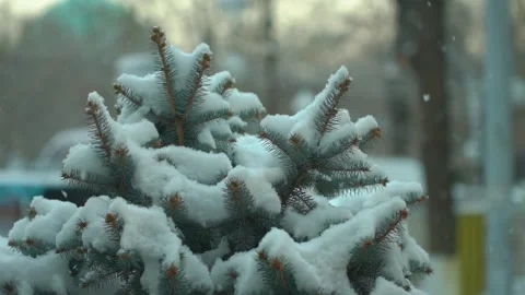 Winter snow slow motion frame Stock Footage
