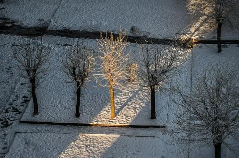 Winter. Snow. Snowfall at sunset. Stock Photos