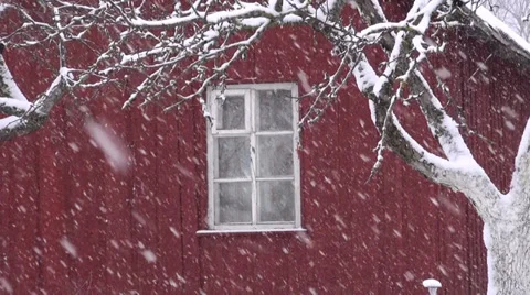 Winter snow snowflake snowing falling near farm house 库存影片 38456177