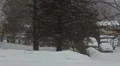 Winter snow storm- 4K UHD time lapsed 4k or 4k+ Resolution