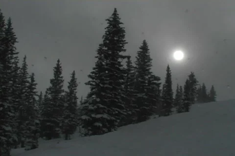 Winter Snow Storm and Blizzard Stock Footage 281119