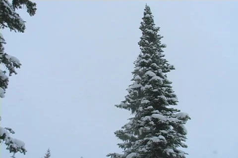 Winter Snow Storm and Blizzard Stock Footage 281122
