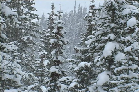 Winter Snow Storm and Blizzard Stock Footage 281129