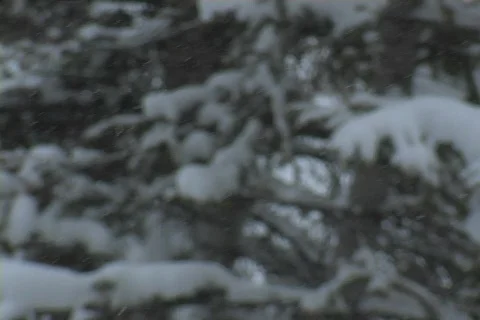 Winter Snow Storm and Blizzard Stock Footage 281131